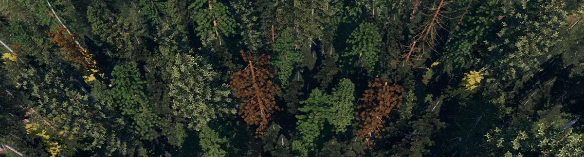 visual forester stand designer
