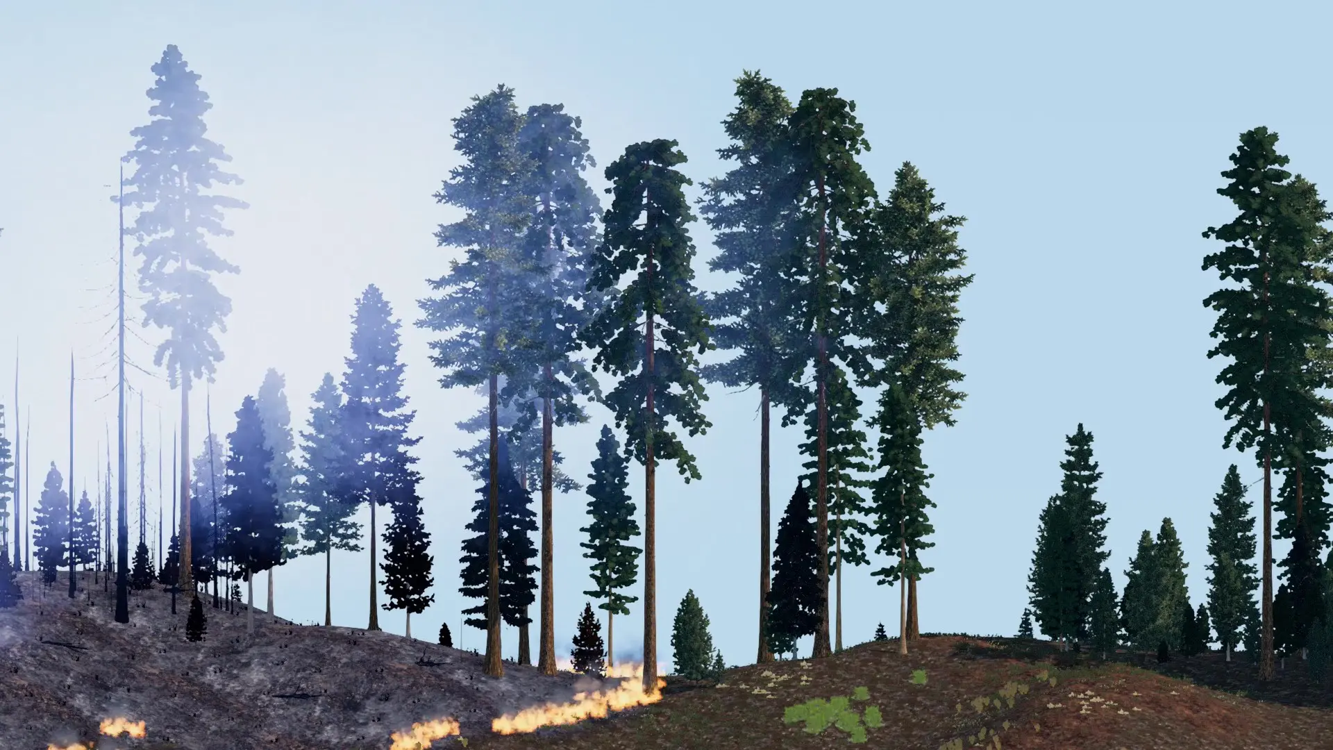 low compression trees